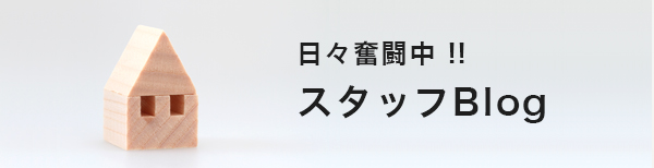 スタッフのブログ