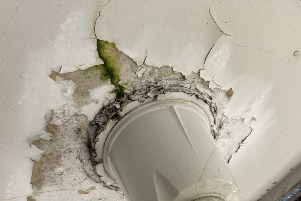 天井の塗装が広範囲に剥離・浮き上がり、雨漏りや結露の影響と思われるカビや汚れが発生している劣化状況。